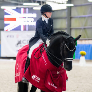 CDI Wroclaw 2023 - autumn