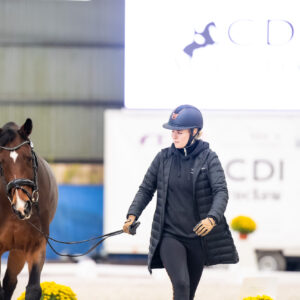 CDI Wroclaw 2023 - autumn