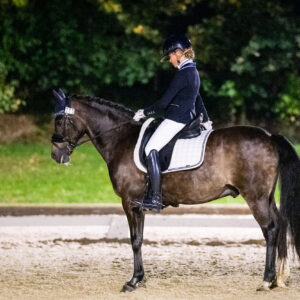 CDI Troisdorf 2023 - autumn