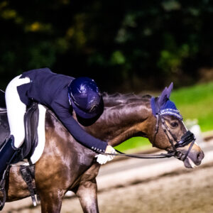 CDI Troisdorf 2023 - autumn