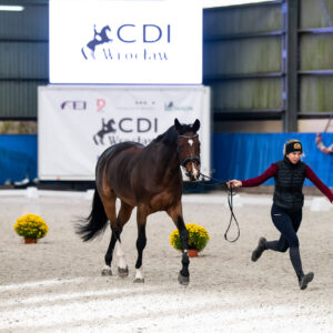CDI Wroclaw 2023 - autumn