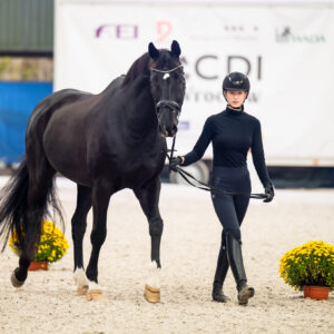 CDI Wroclaw 2023 - autumn