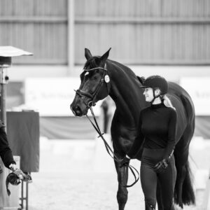 CDI Wroclaw 2023 - autumn