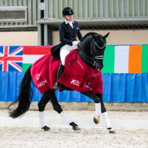 CDI Wroclaw 2023 - autumn