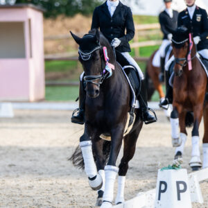 CDI Troisdorf 2023 - autumn