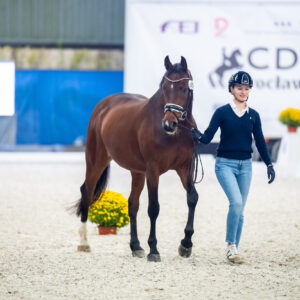 CDI Wroclaw 2023 - autumn