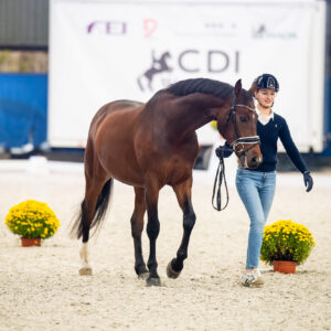 CDI Wroclaw 2023 - autumn