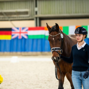 CDI Wroclaw 2023 - autumn