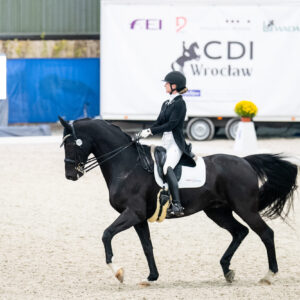 CDI Wroclaw 2023 - autumn