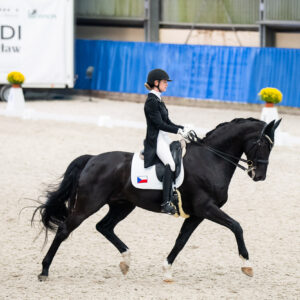 CDI Wroclaw 2023 - autumn