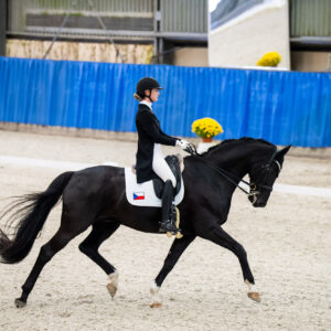 CDI Wroclaw 2023 - autumn
