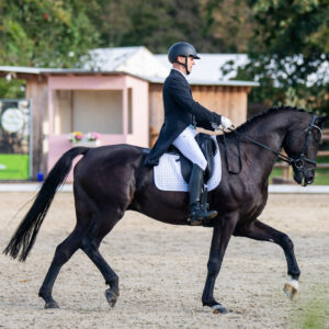 CDI Troisdorf 2023 - autumn