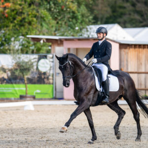 CDI Troisdorf 2023 - autumn