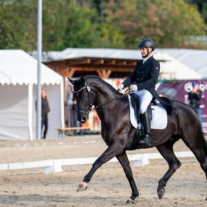 CDI Troisdorf 2023 - autumn