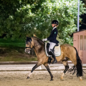CDI Troisdorf 2023 - autumn