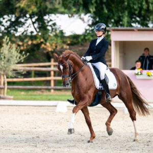 CDI Troisdorf 2023 - autumn