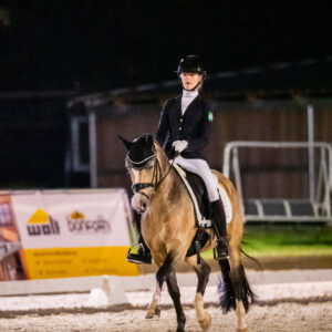 CDI Troisdorf 2023 - autumn