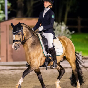 CDI Troisdorf 2023 - autumn