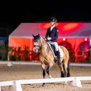 CDI Troisdorf 2023 - autumn