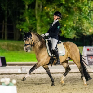 CDI Troisdorf 2023 - autumn