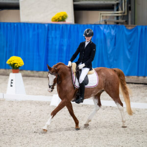 CDI Wroclaw 2023 - autumn