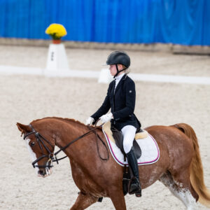 CDI Wroclaw 2023 - autumn