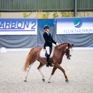 CDI Wroclaw 2023 - autumn