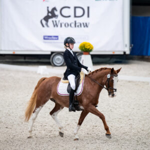 CDI Wroclaw 2023 - autumn