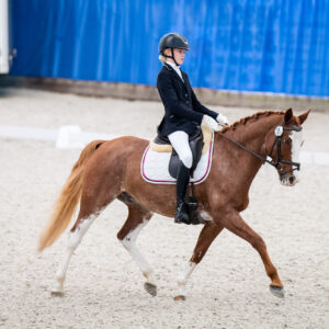 CDI Wroclaw 2023 - autumn