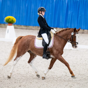 CDI Wroclaw 2023 - autumn