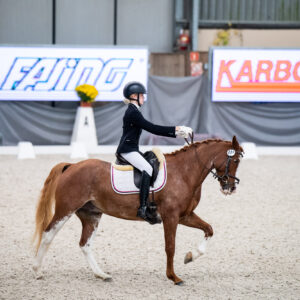 CDI Wroclaw 2023 - autumn