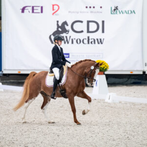 CDI Wroclaw 2023 - autumn