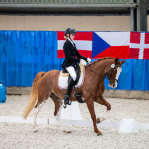 CDI Wroclaw 2023 - autumn