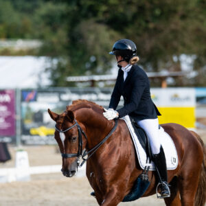 CDI Troisdorf 2023 - autumn