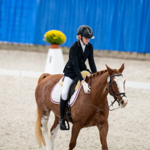 CDI Wroclaw 2023 - autumn