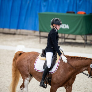 CDI Wroclaw 2023 - autumn