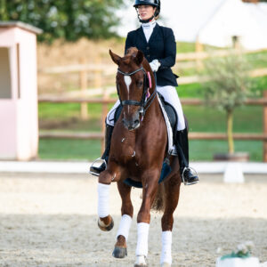 CDI Troisdorf 2023 - autumn