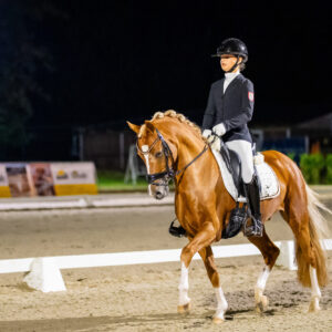 CDI Troisdorf 2023 - autumn