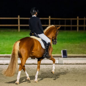 CDI Troisdorf 2023 - autumn