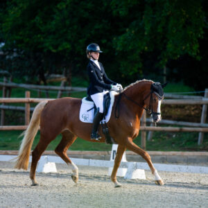 CDI Troisdorf 2023 - autumn