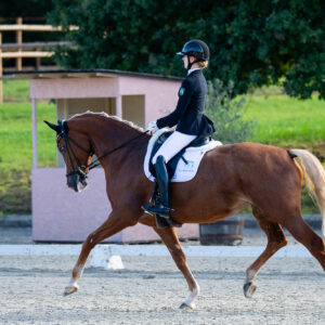 CDI Troisdorf 2023 - autumn
