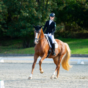 CDI Troisdorf 2023 - autumn