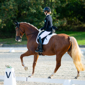 CDI Troisdorf 2023 - autumn