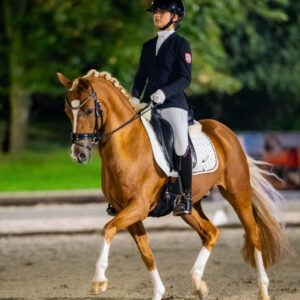 CDI Troisdorf 2023 - autumn
