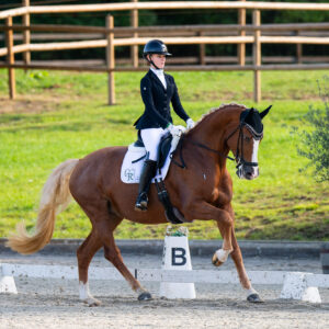 CDI Troisdorf 2023 - autumn