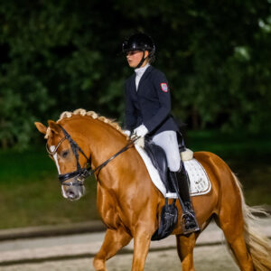CDI Troisdorf 2023 - autumn