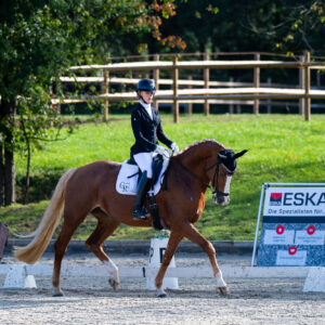 CDI Troisdorf 2023 - autumn