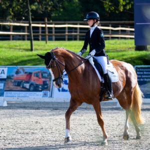 CDI Troisdorf 2023 - autumn