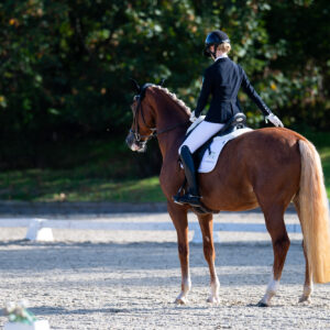 CDI Troisdorf 2023 - autumn
