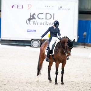 CDI Wroclaw 2023 - autumn
